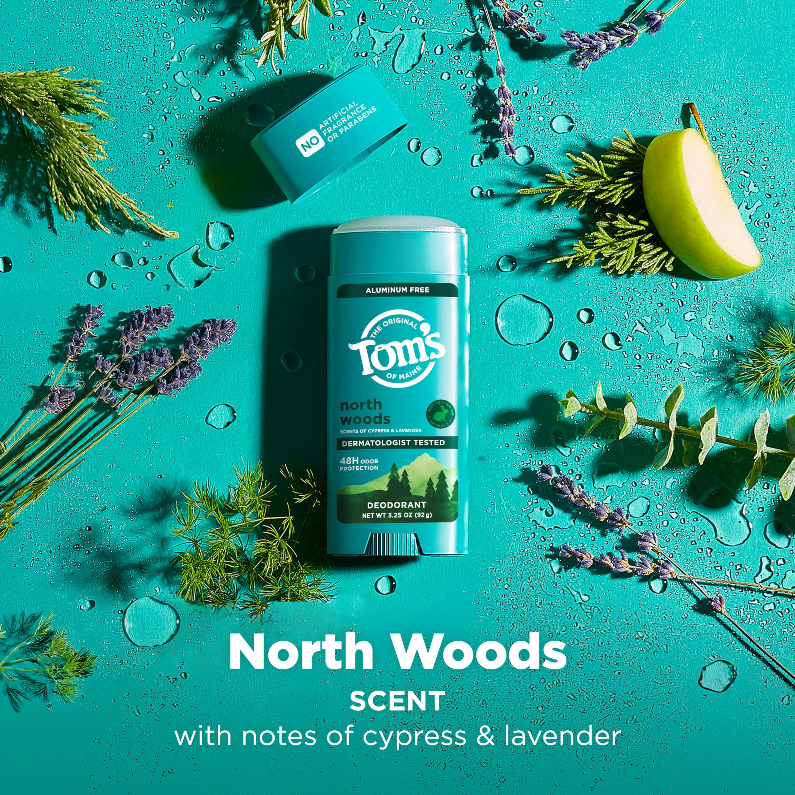 Illustration of 48-hour odor protection for long-lasting confidence with North Woods deodorant