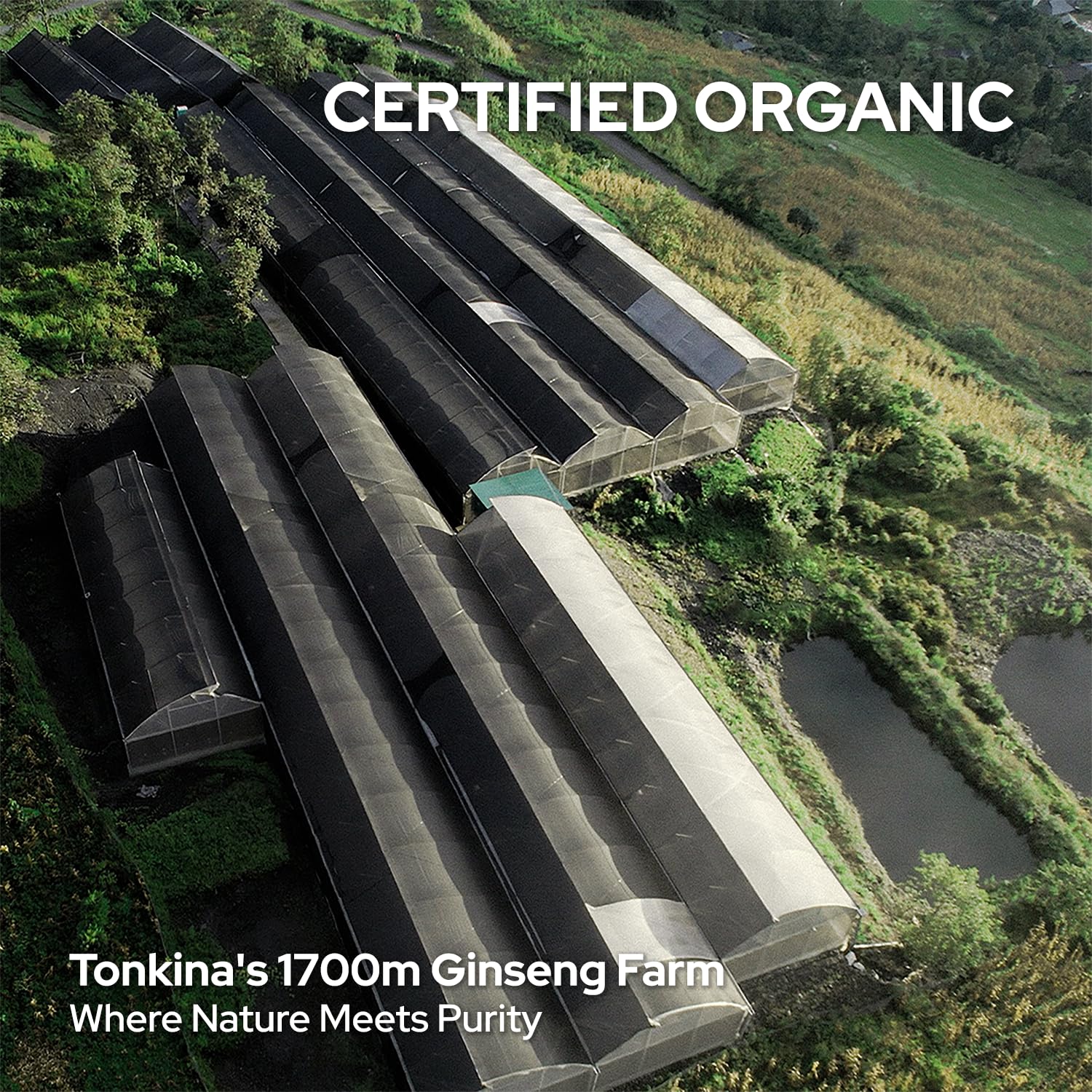 Tonkina Youth 1700 Daily routine with trio packaging