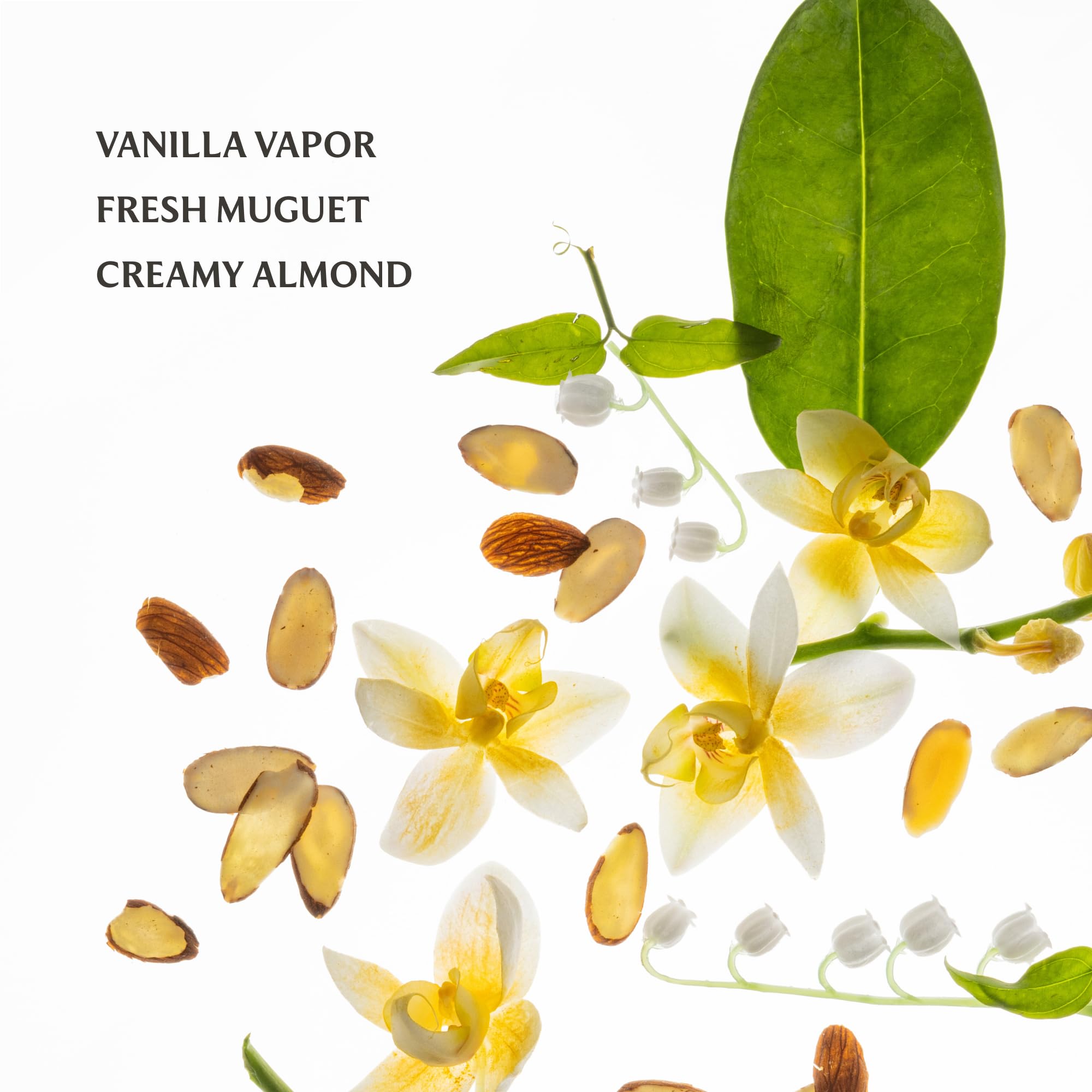 Touchland Vanilla Indulgence kit for everyday care on the move.