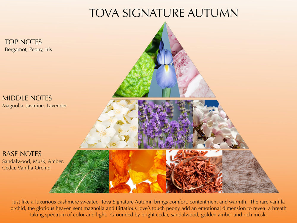 Tova Signature Autumn on dresser, ideal for daily fragrance rotation.