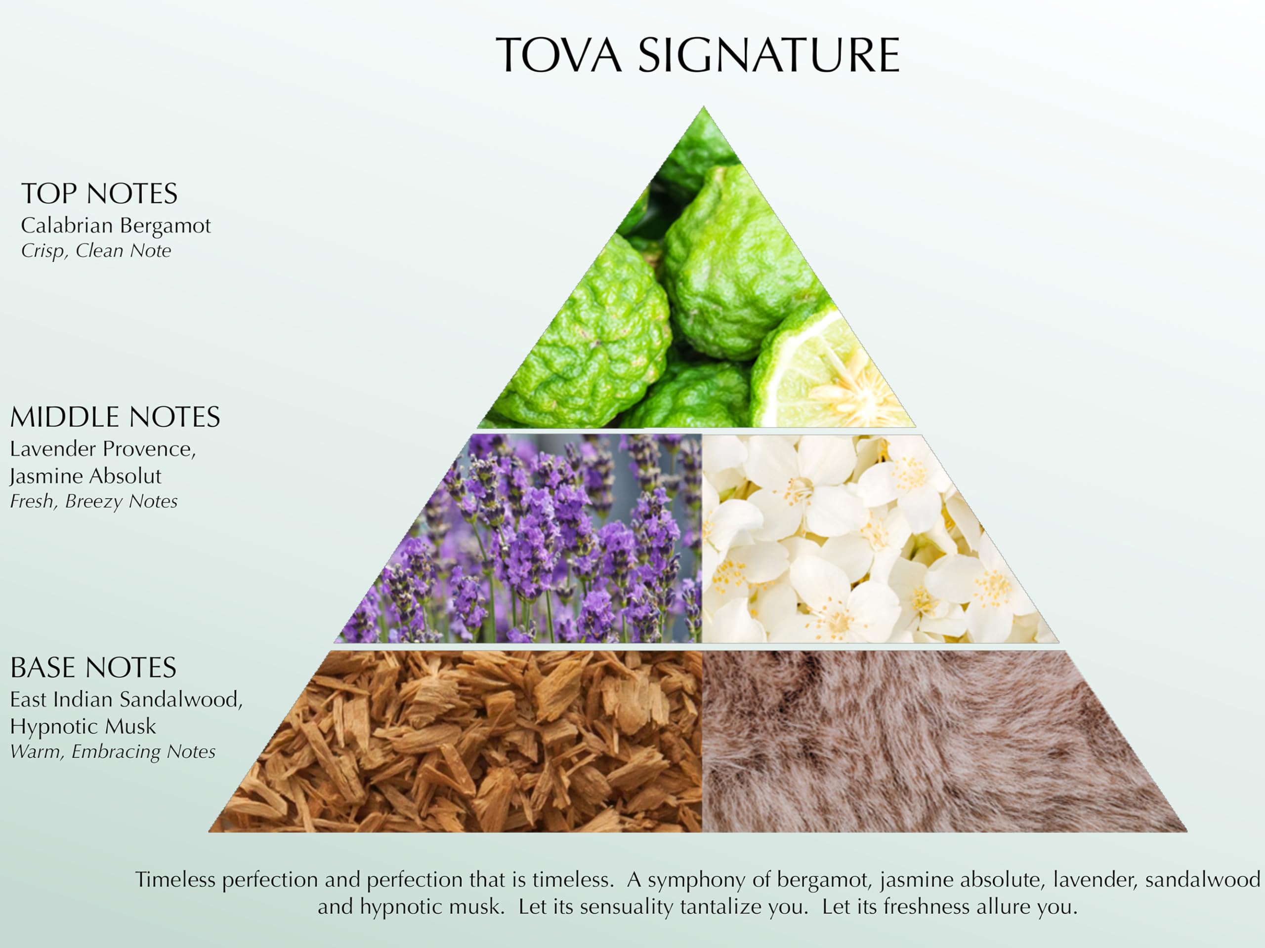 USA-made cruelty-free packaging highlights responsible production.