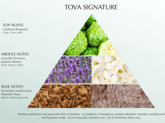 Tova Signature dry oil travel-size bottle: TSA-friendly for on-the-go hydration.