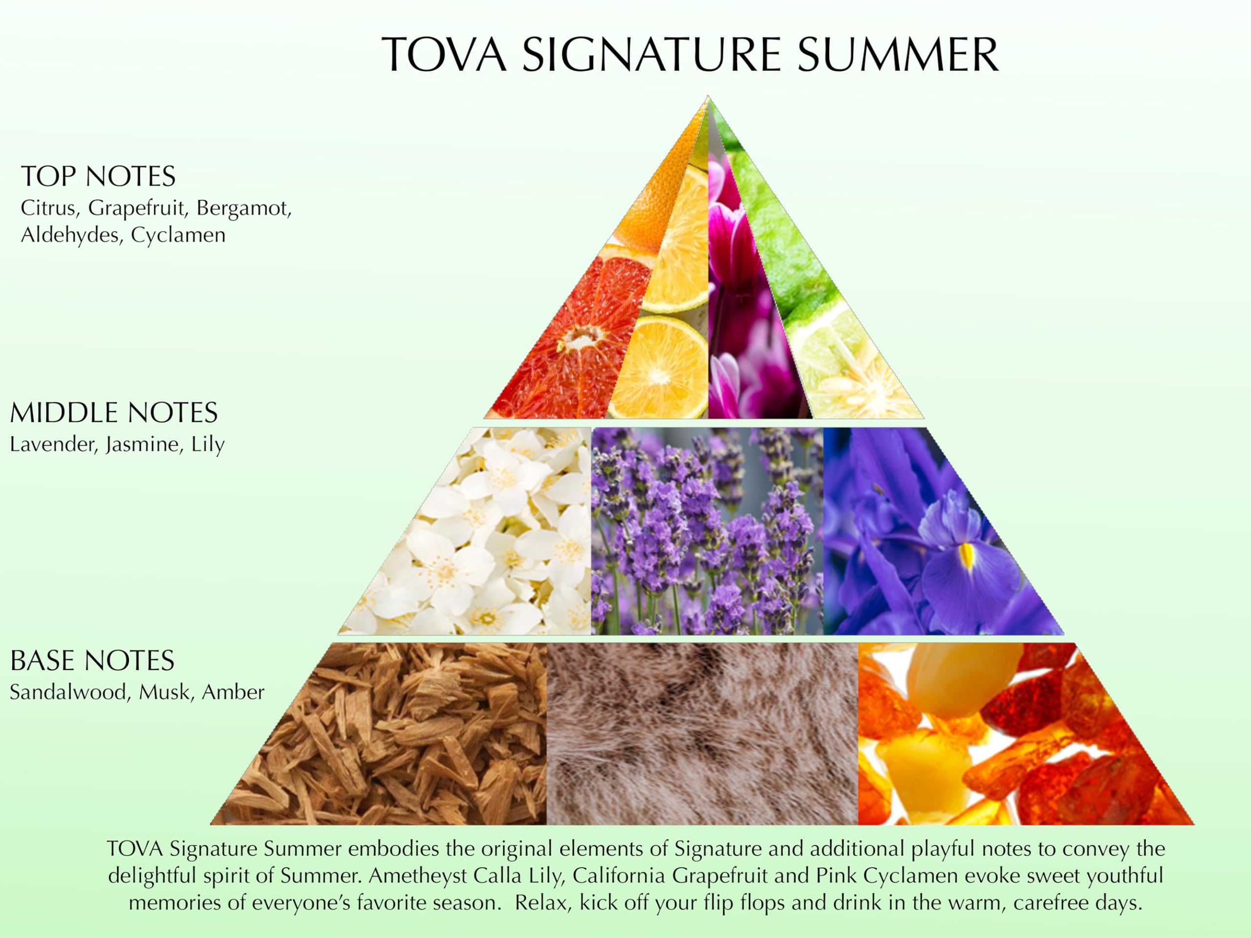 Tova Signature Summer base notes cedar and musk add warmth