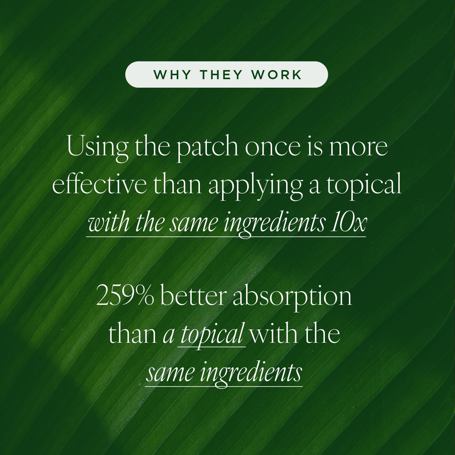Tree of Life Beauty patches ingredients retinol, hyaluronic acid, vitamin C, peptides