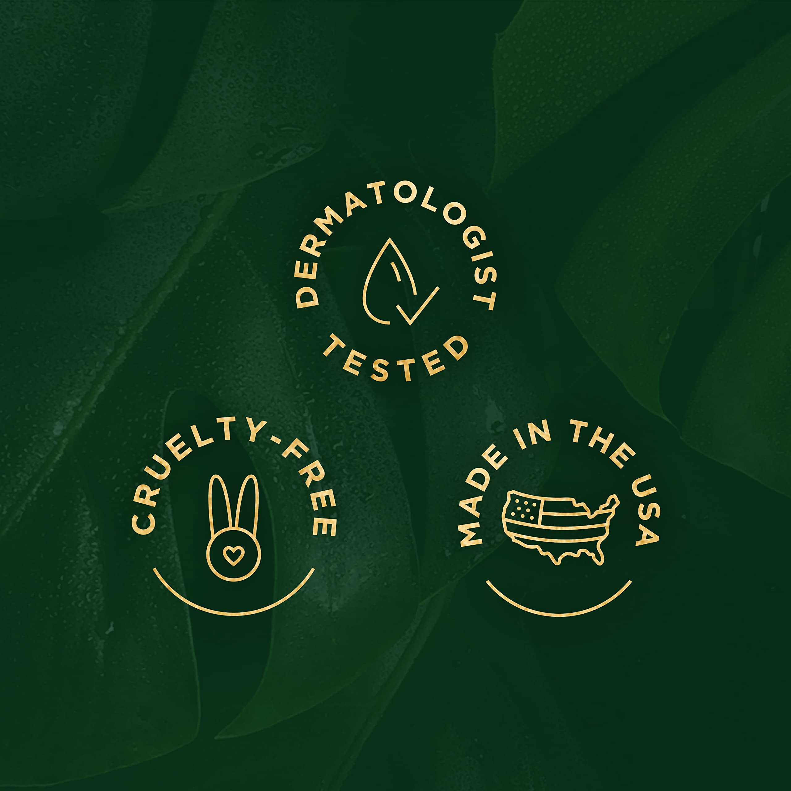 Tree of Life skincare set packaging showing four serums for care