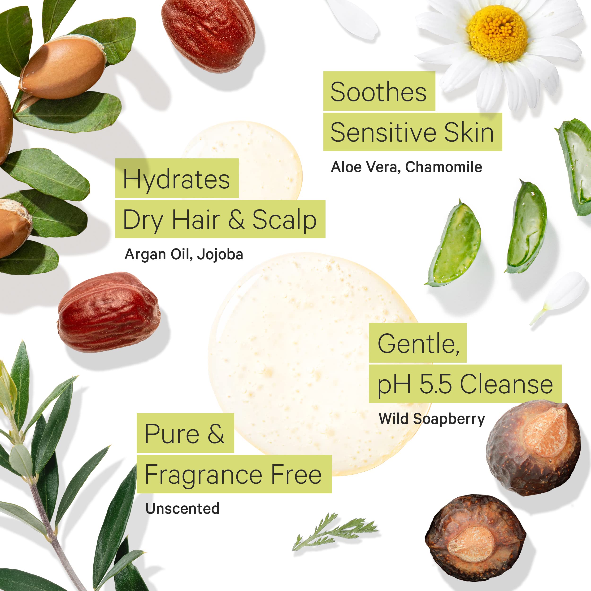 Tree to Tub argan oil application image emphasizes deep moisture for dry hair.
