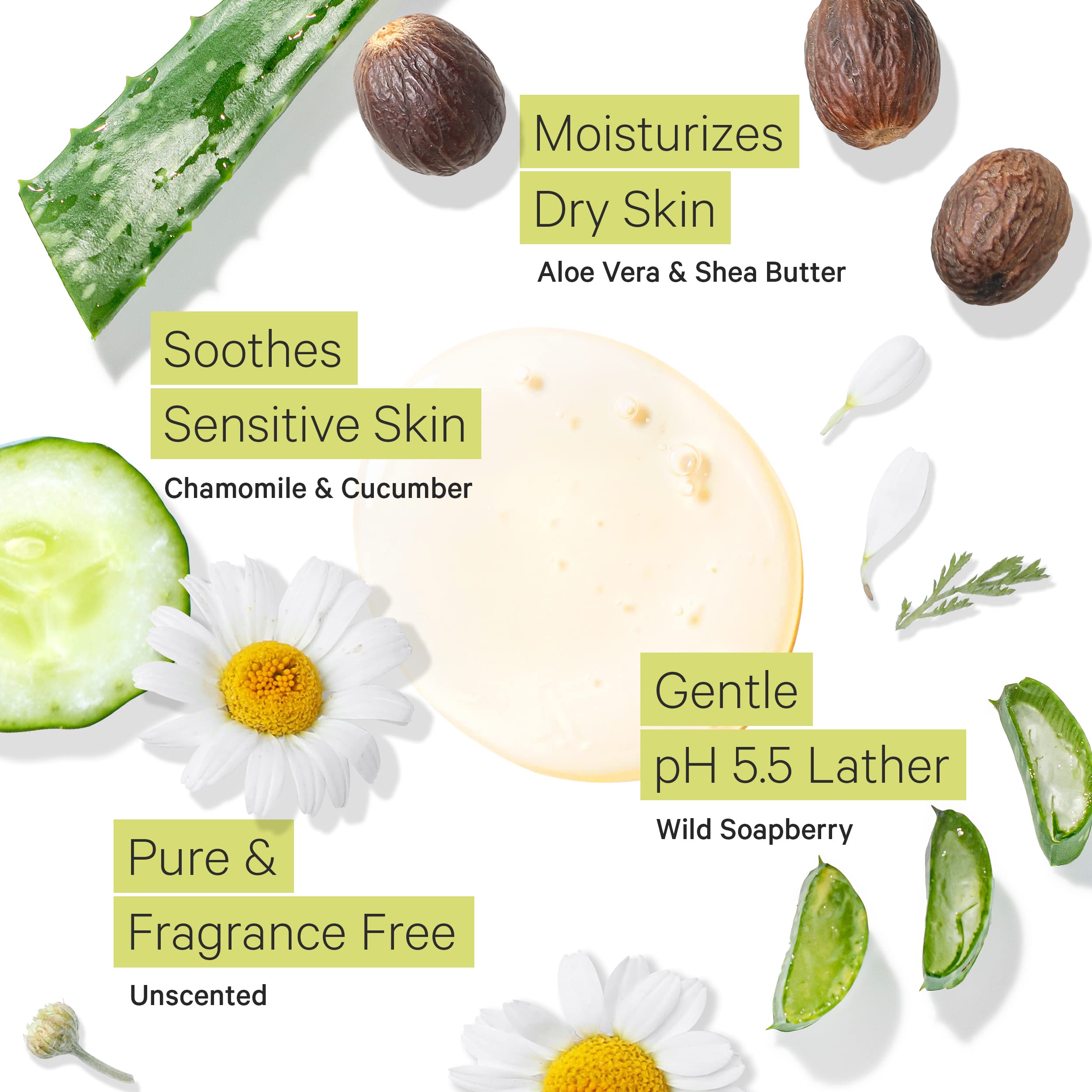 Tree to Tub Unscented Body Wash with soapberry ingredient for mild cleansing