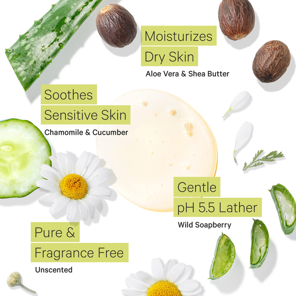 Tree to Tub Unscented Body Wash with soapberry ingredient for mild cleansing
