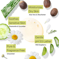 Tree to Tub Unscented Body Wash with soapberry ingredient for mild cleansing