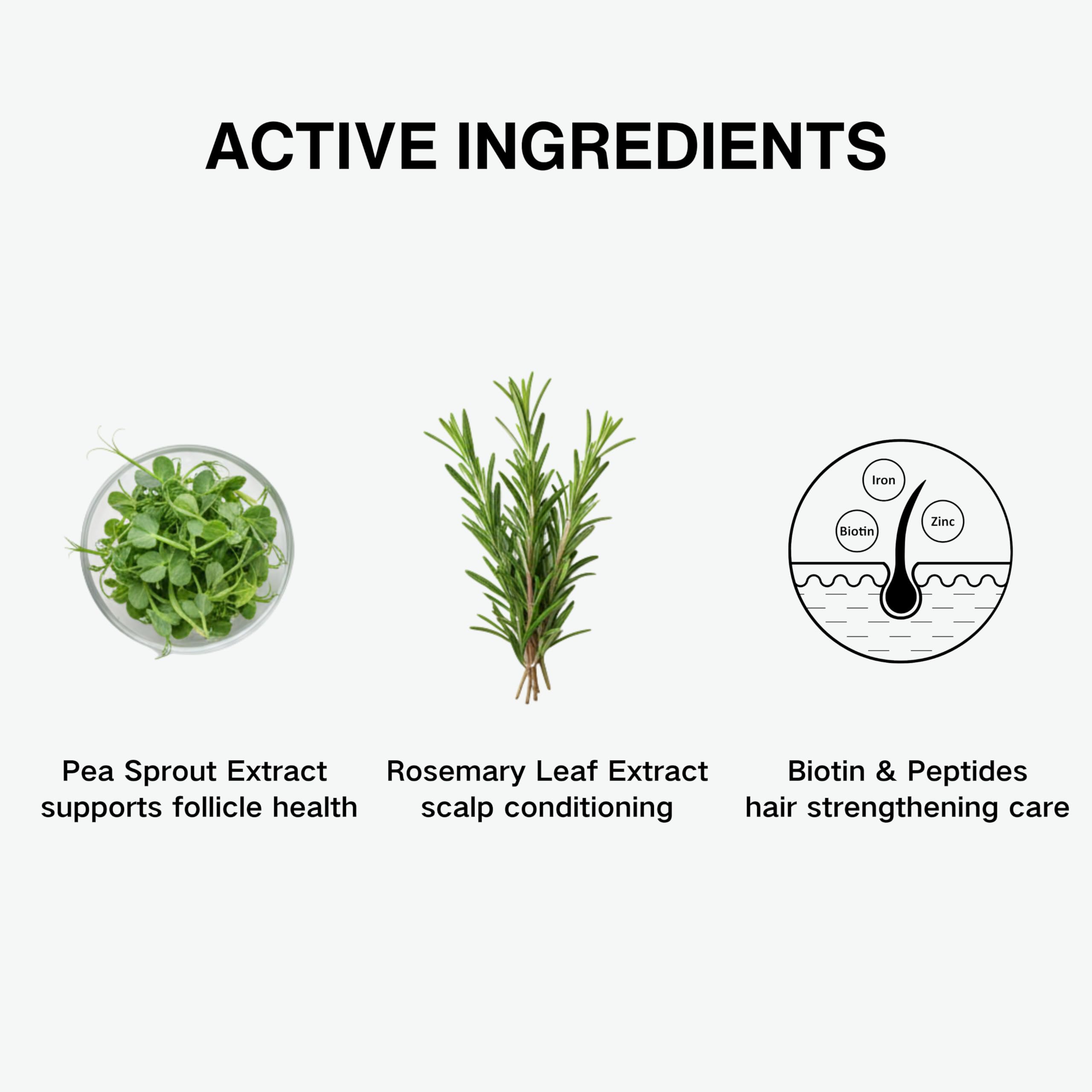 Tricholoy+ moringa seed extract droplet supporting scalp protection.