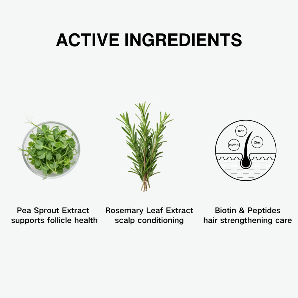 Tricholoy+ moringa seed extract droplet supporting scalp protection.