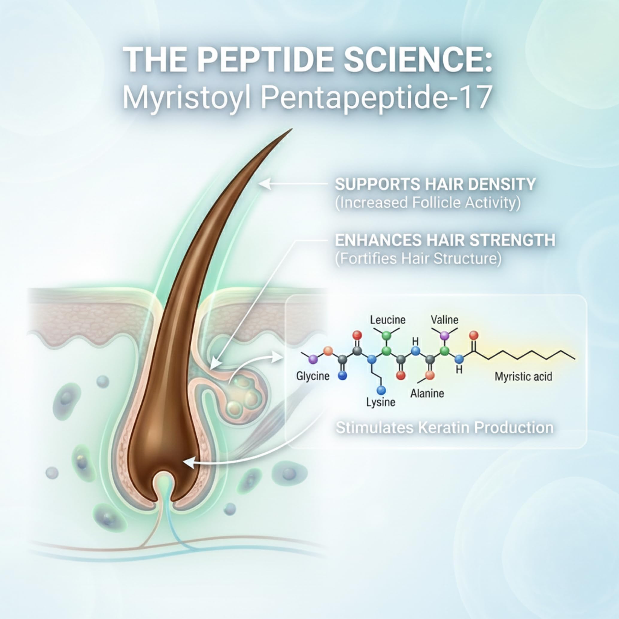Tricholoy+ peptide ingredients close-up highlighting fortifying complex