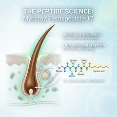 Tricholoy+ peptide ingredients close-up highlighting fortifying complex