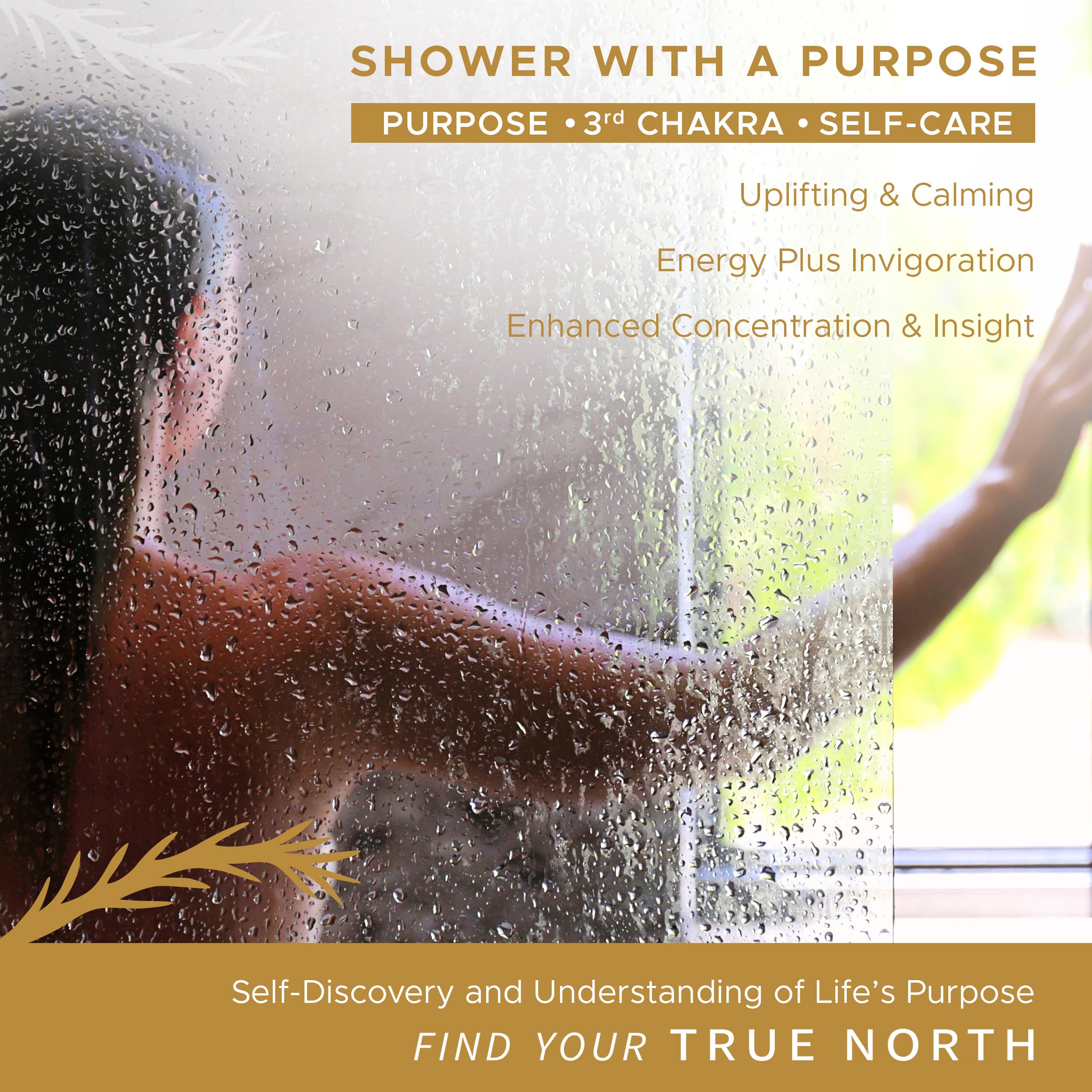 True North Botanicals large steamers 12-pack provide long-lasting aroma and mood support.