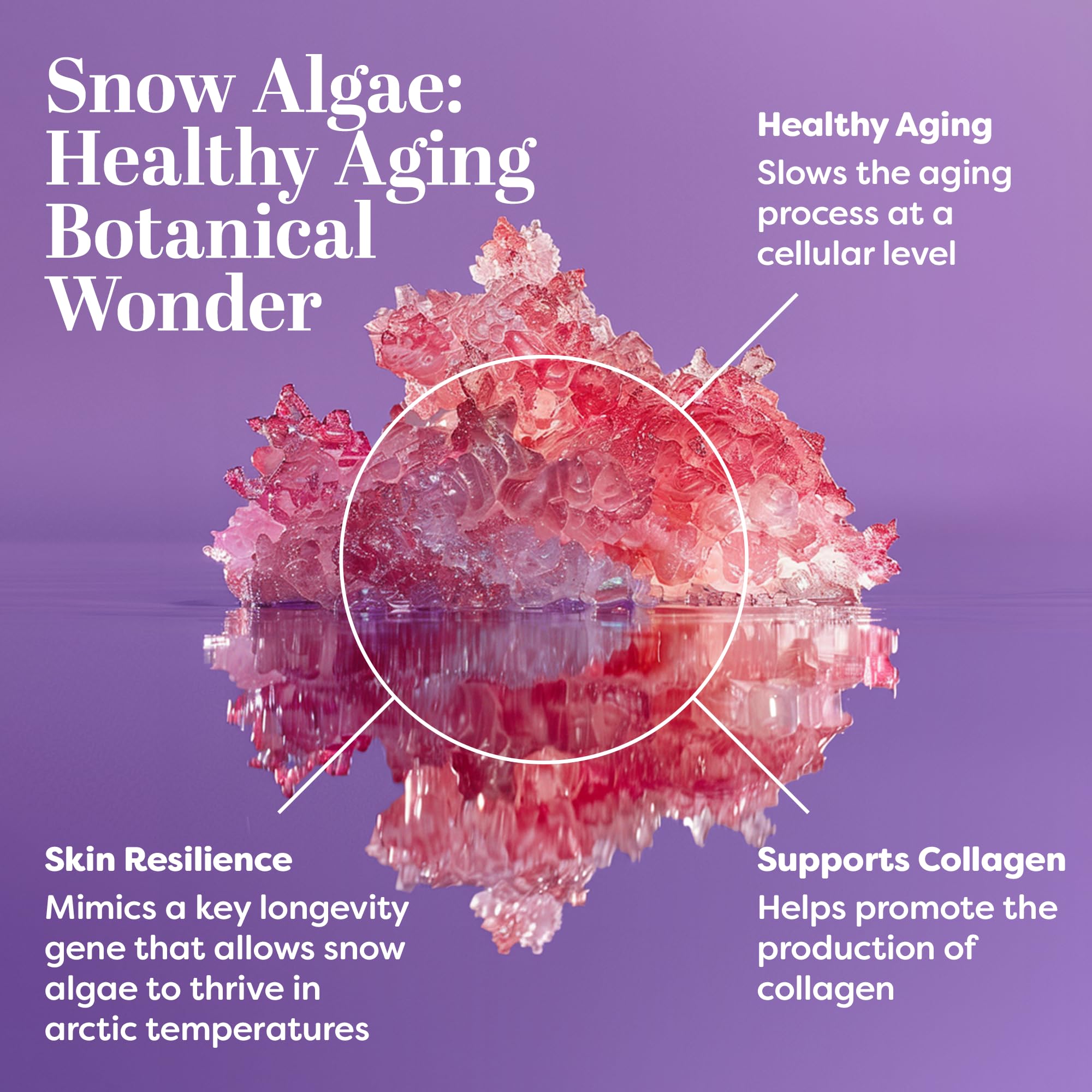 TruSkin Longevity Snow algae visual showing cellular aging protection concept