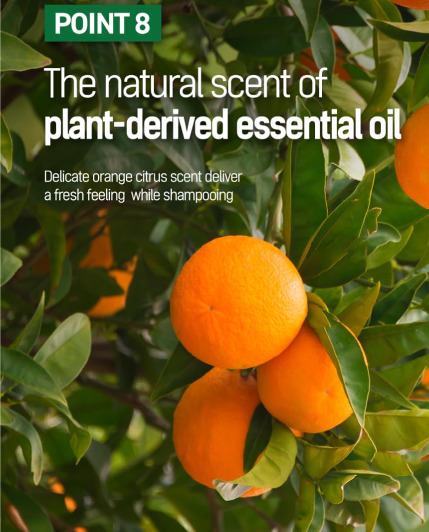 TS Shampoo Plus product shot emphasizes thinning hair care for all.