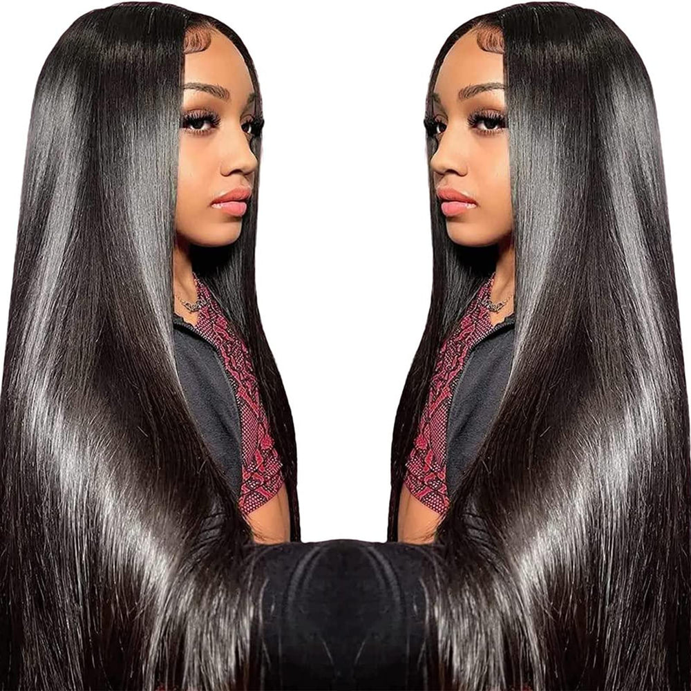 TTSMINS straight lace front wig with HD lace for a natural hairline and movement
