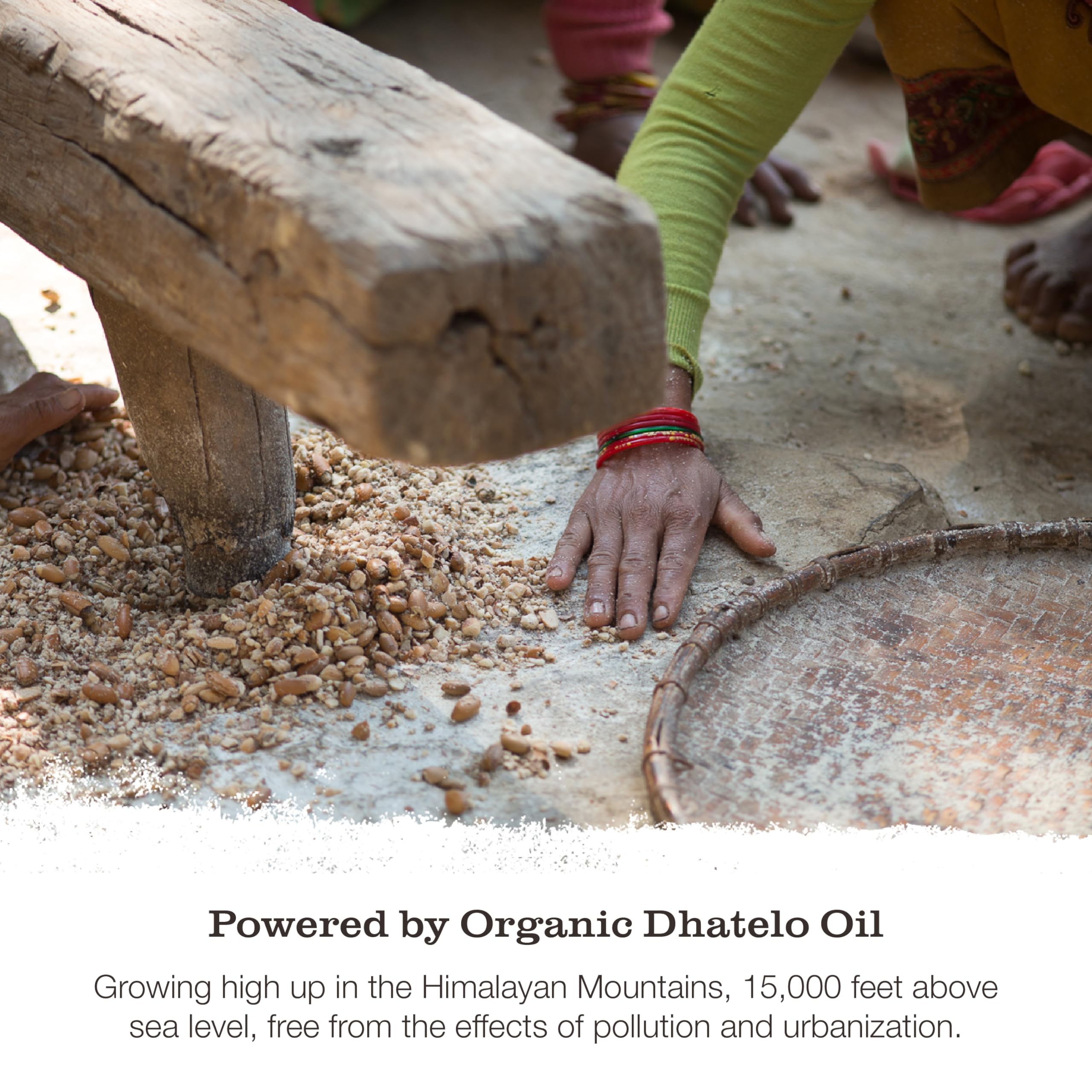 Dhatelo Seed Oil visual from Himalayas in Tweak’d by Nature product
