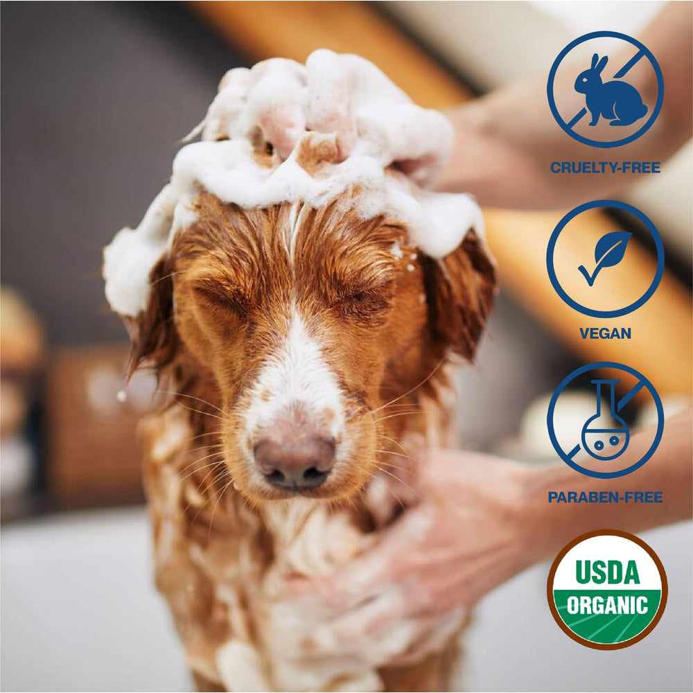 uhrohmuh plant safe insect spray option when diluted