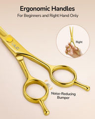 ULG sectioning clips 2-pack for secure hold during hairstyles