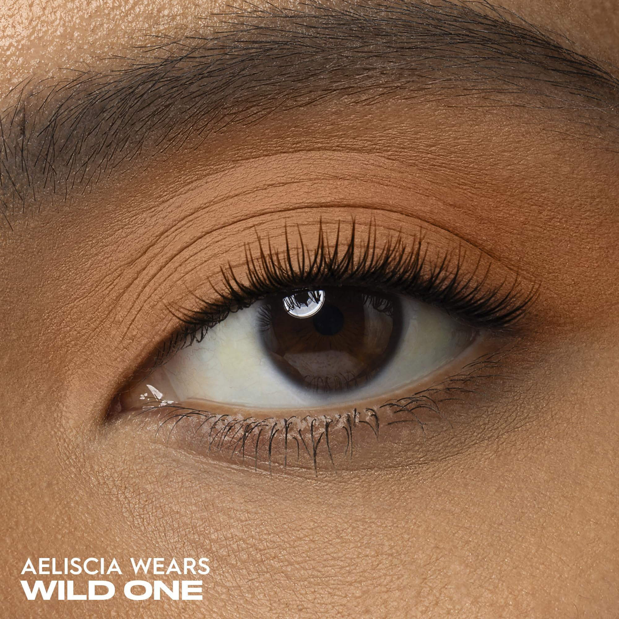 Urban Decay 24/7 Longwear Eyeshadow Single Wild One swatch reveals rich burnt orange pigment, crease-resistant finish.
