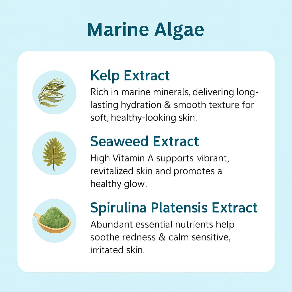 URIID Marine Energy Ampoule Essence seaweed extracts support nourishing skincare benefits.