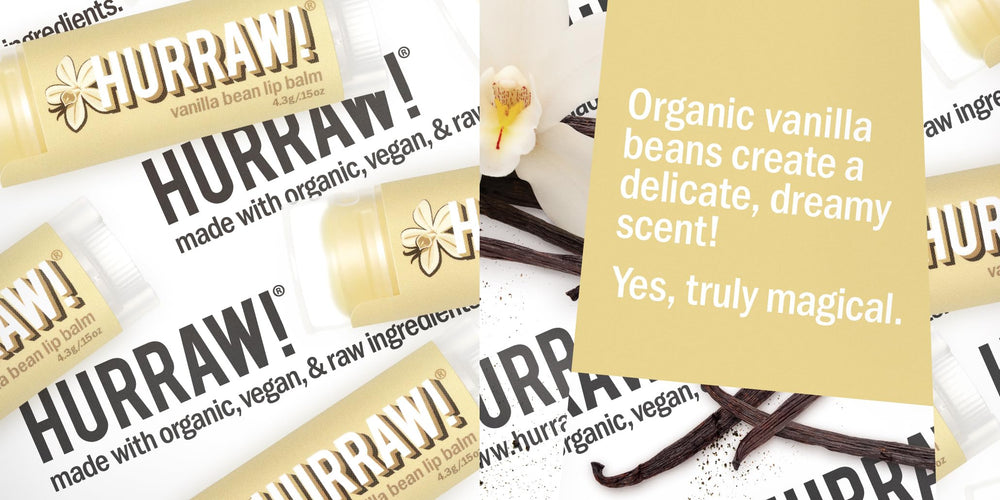 Vanilla orchid bloom detail signals natural, aromatic lip care.