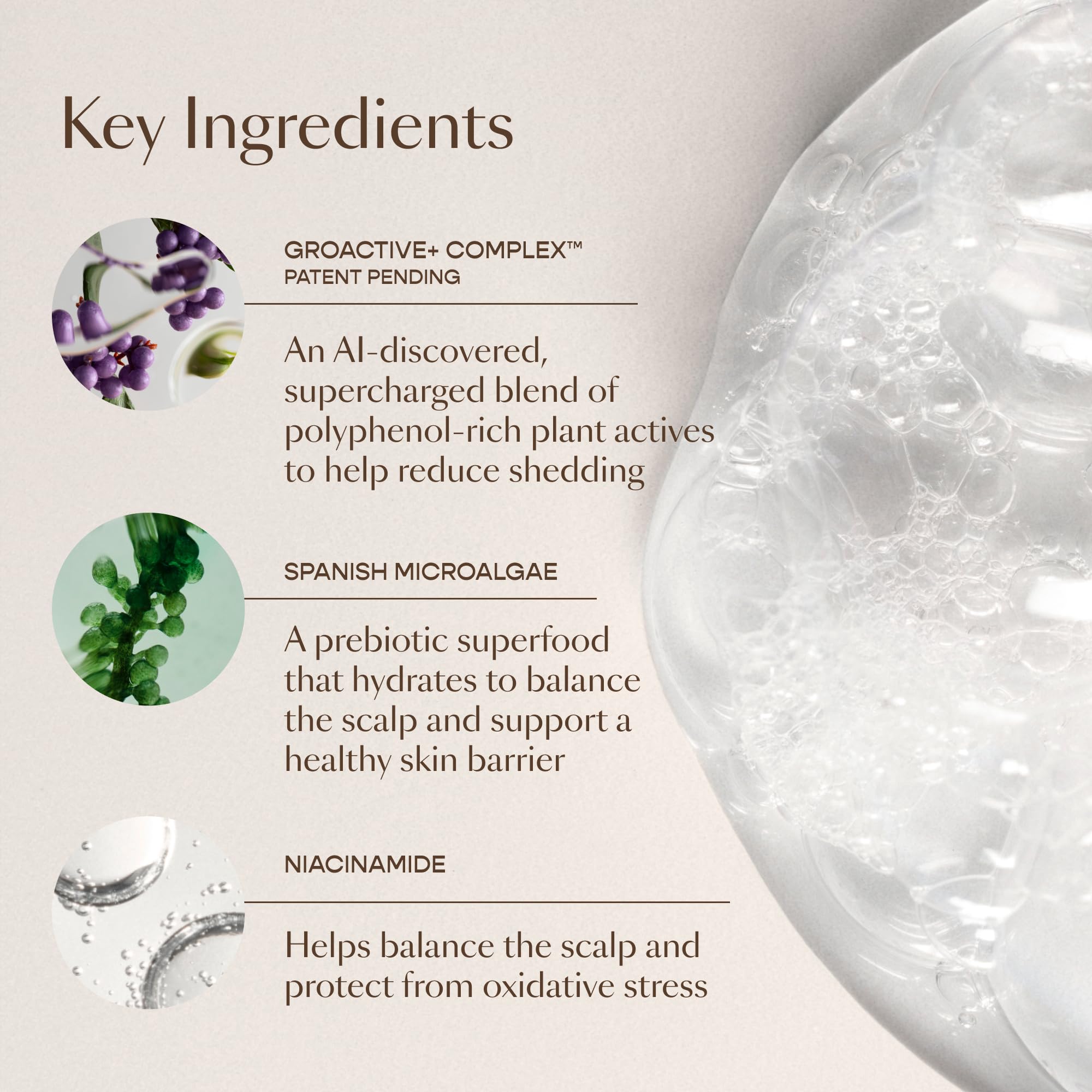 Back label of GRO+ Balance bottle showing GROACTIVE+ Complex with plant actives.