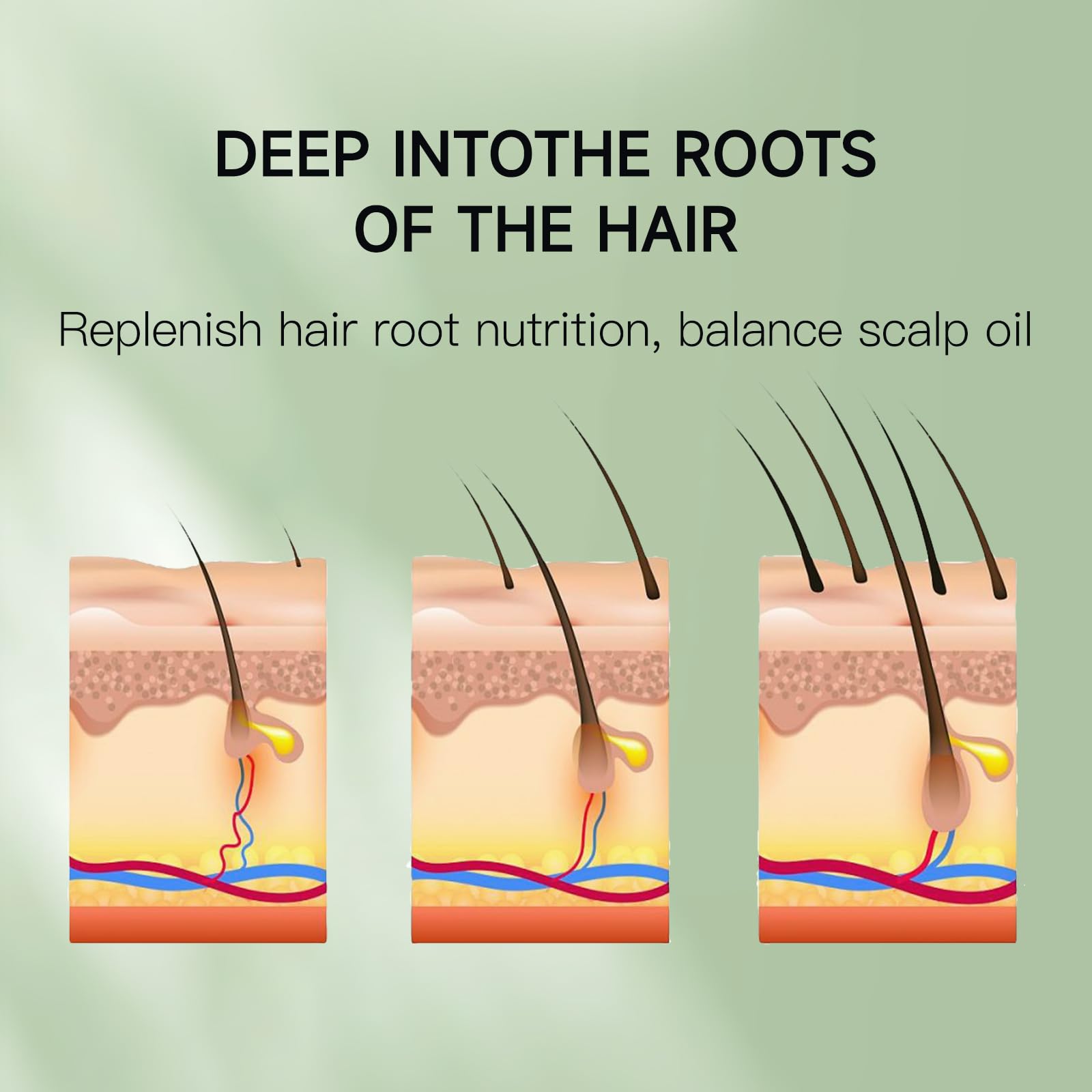 Venrock Rosemary Castor Oil bottle toward longer, stronger hair length.