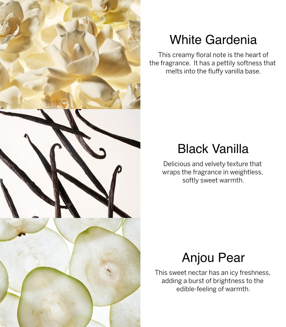 Victoria's Secret Noir Tease bundle overview showing five fragrance options.