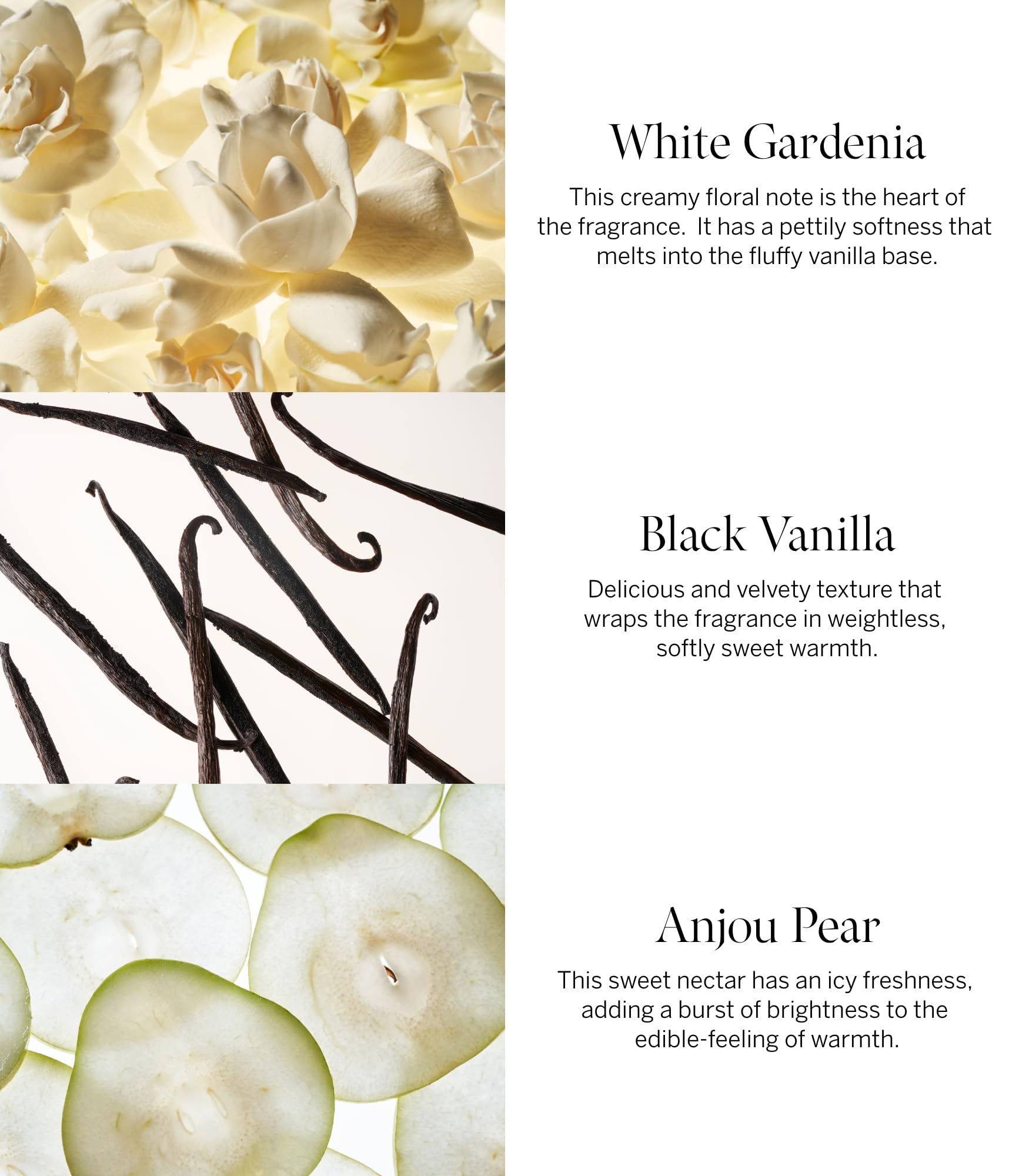 Gift set packaging showcases a luxe fragrance collection.
