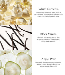 Gift set packaging showcases a luxe fragrance collection.