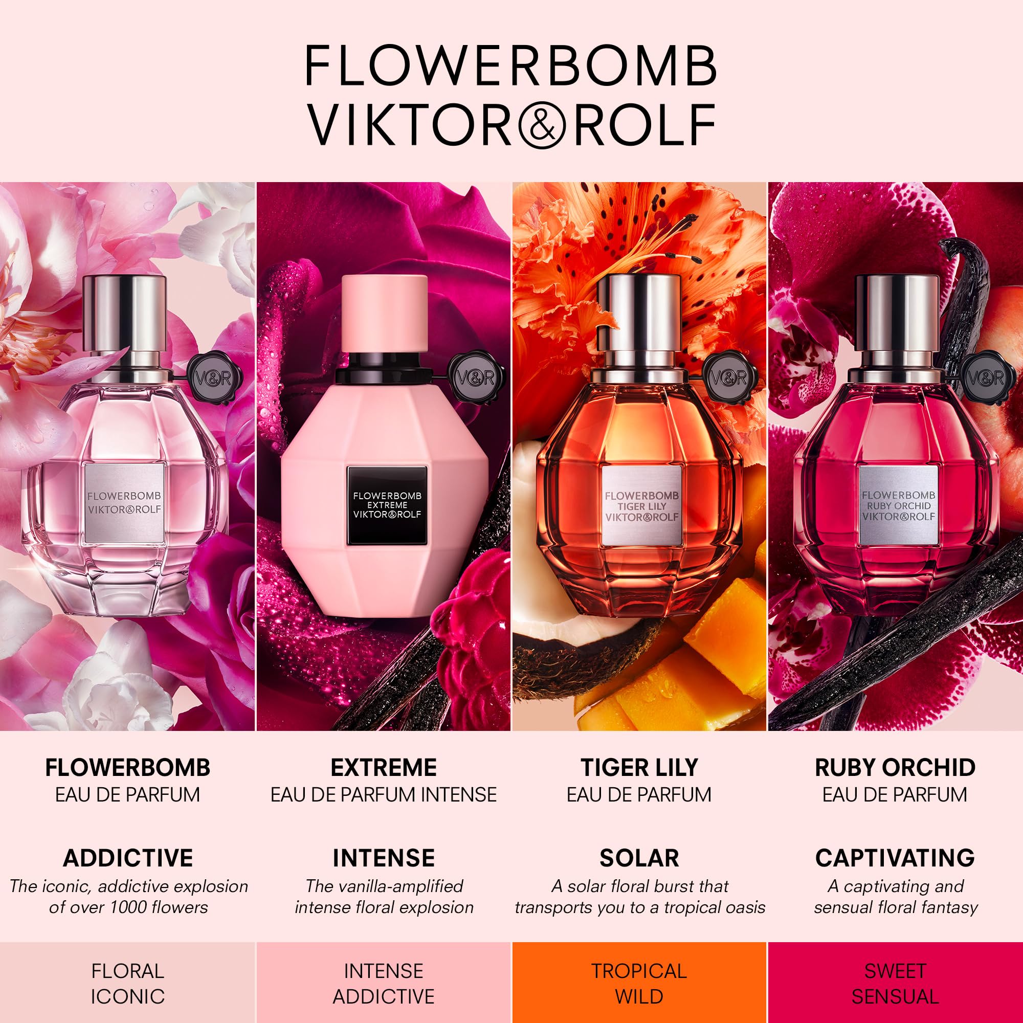 Elegant set display with tropical-inspired design and premium branding.
