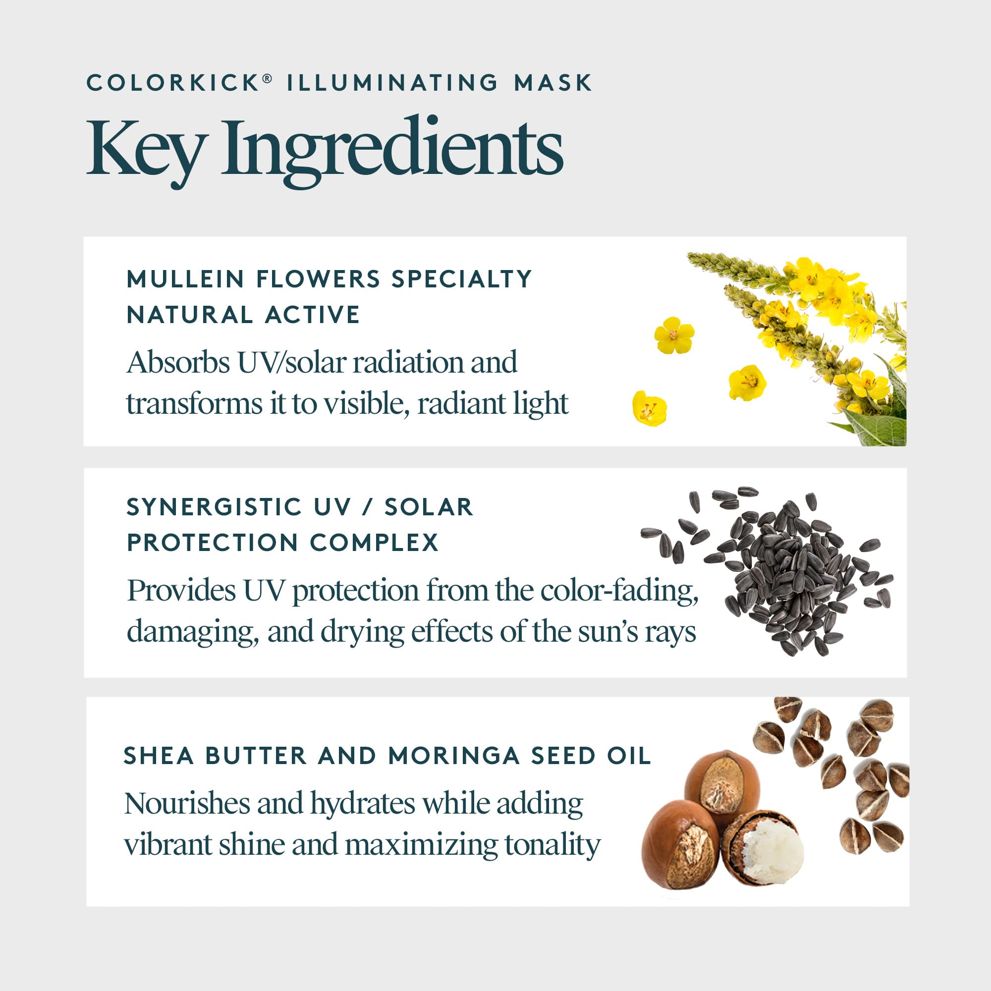 Virtue ColorKick being applied to hair for even coverage