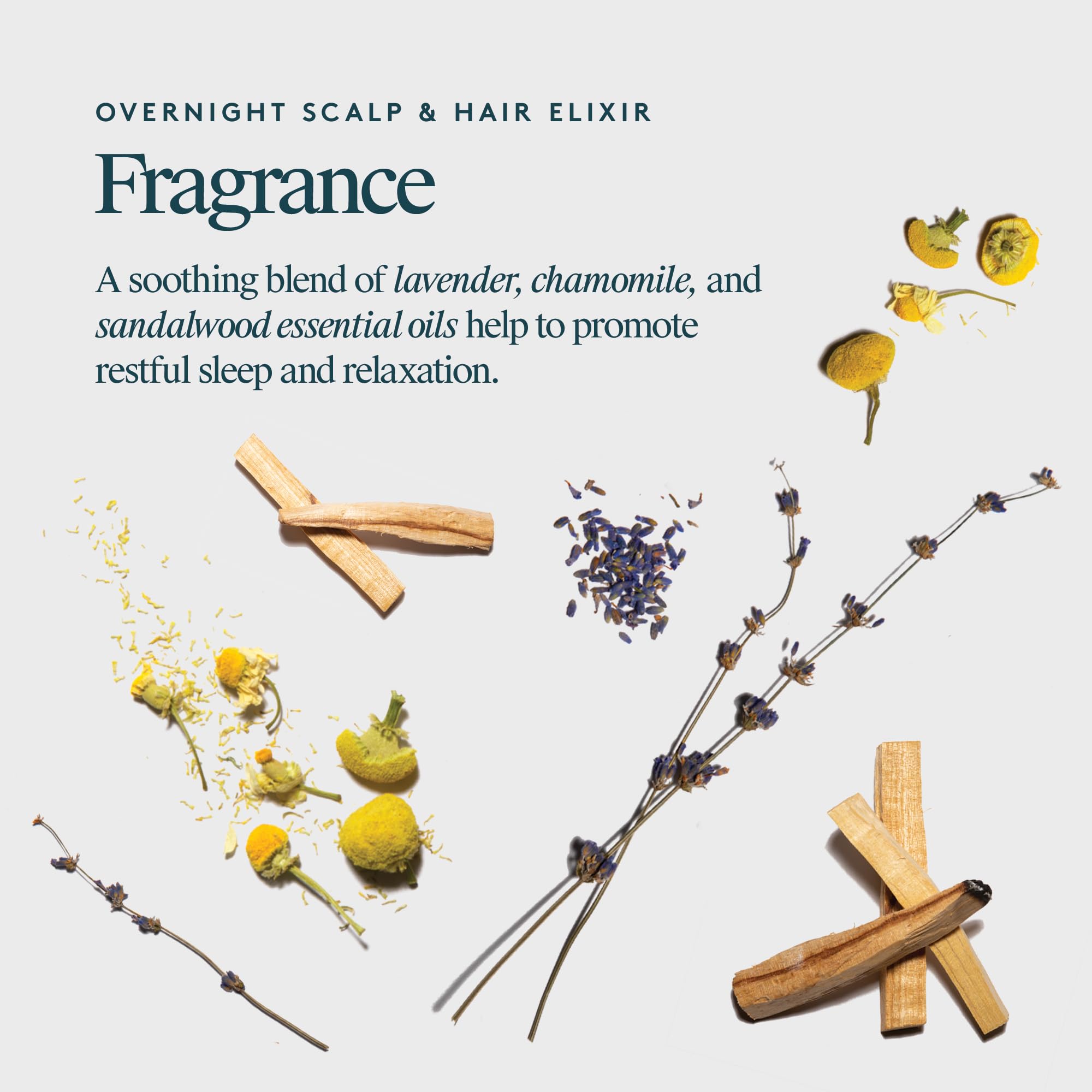 VIRTUE Correct Overnight Elixir in bathroom scene signals daily-use routine.