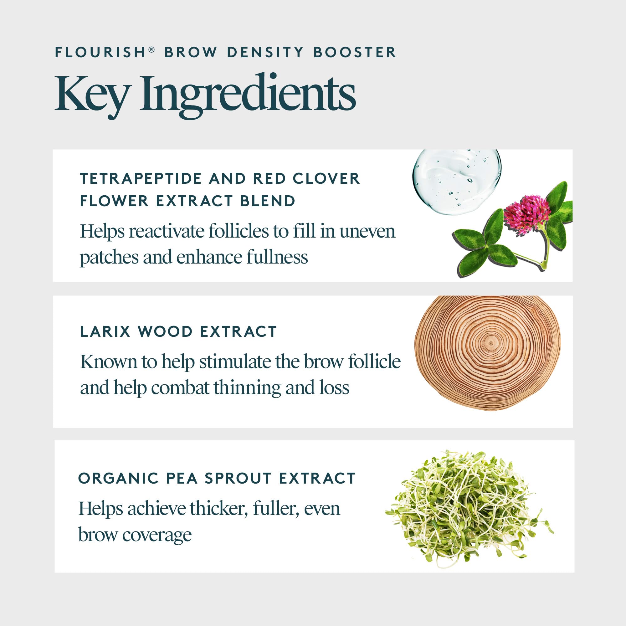 Brush applying Virtue Flourish brow serum for comfortable daily use.