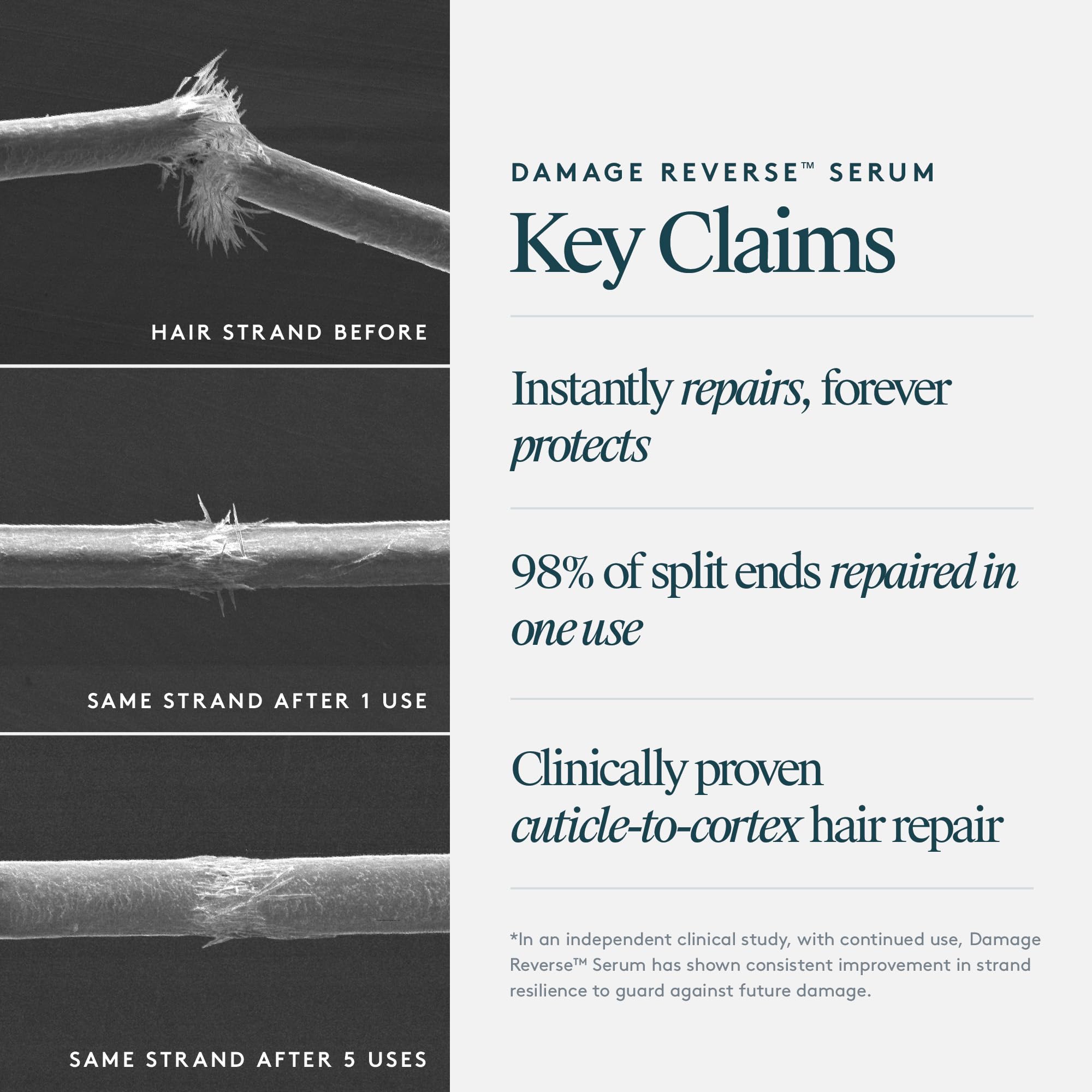 Absorbing action of Virtue Serum reduces frizz without heaviness on hair.