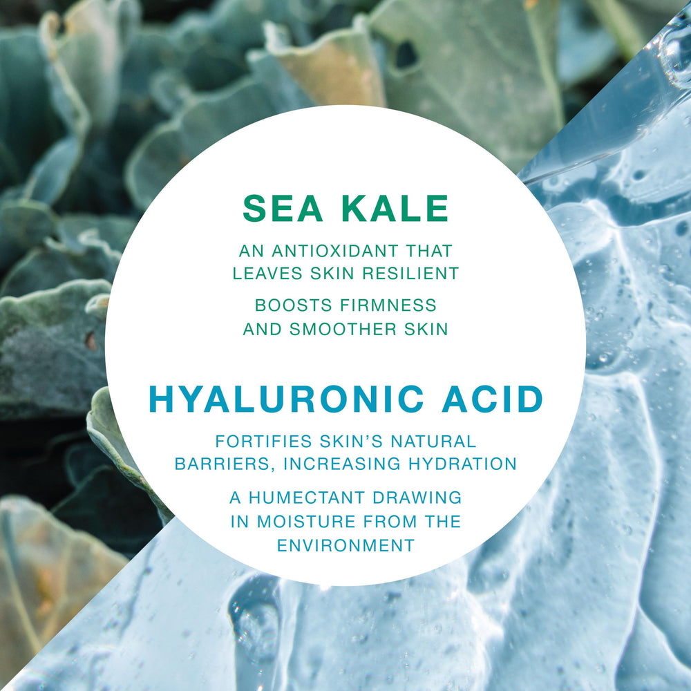 Vitamins and Sea Beauty serum texture close-up with sea kale extract.