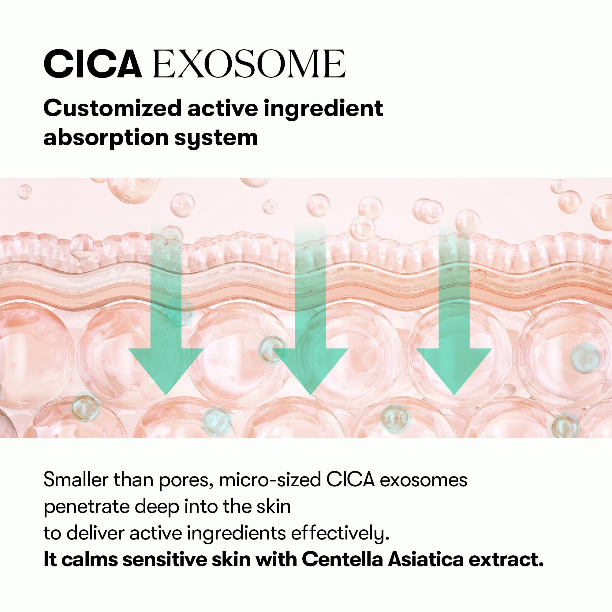 VT COSMETICS PDRN Cica Exosome Ampoule packaging for daily use
