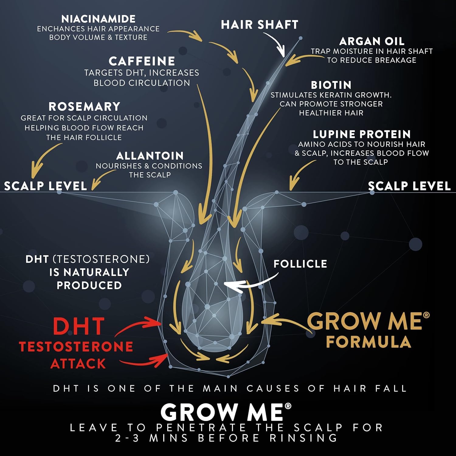 Hands massaging scalp with Watermans Grow Me shampoo lather during use