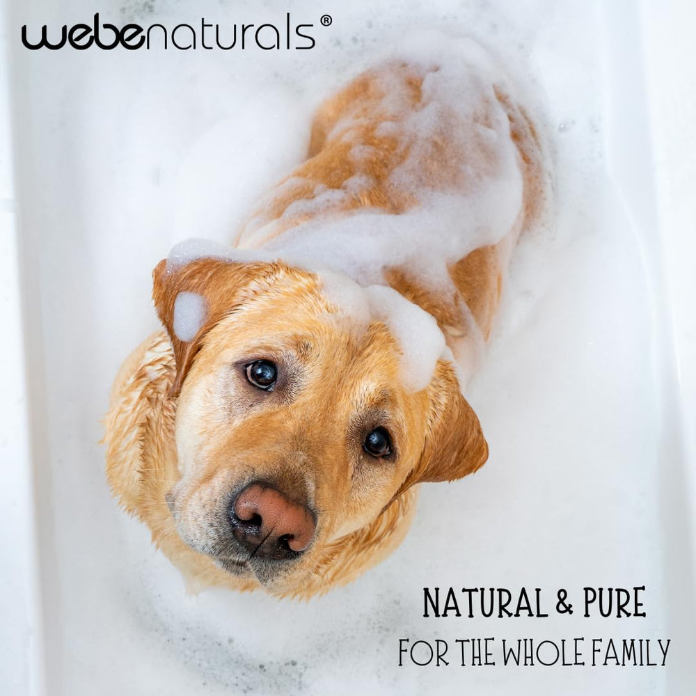 WEBE face cleanser for gentle daily cleansing