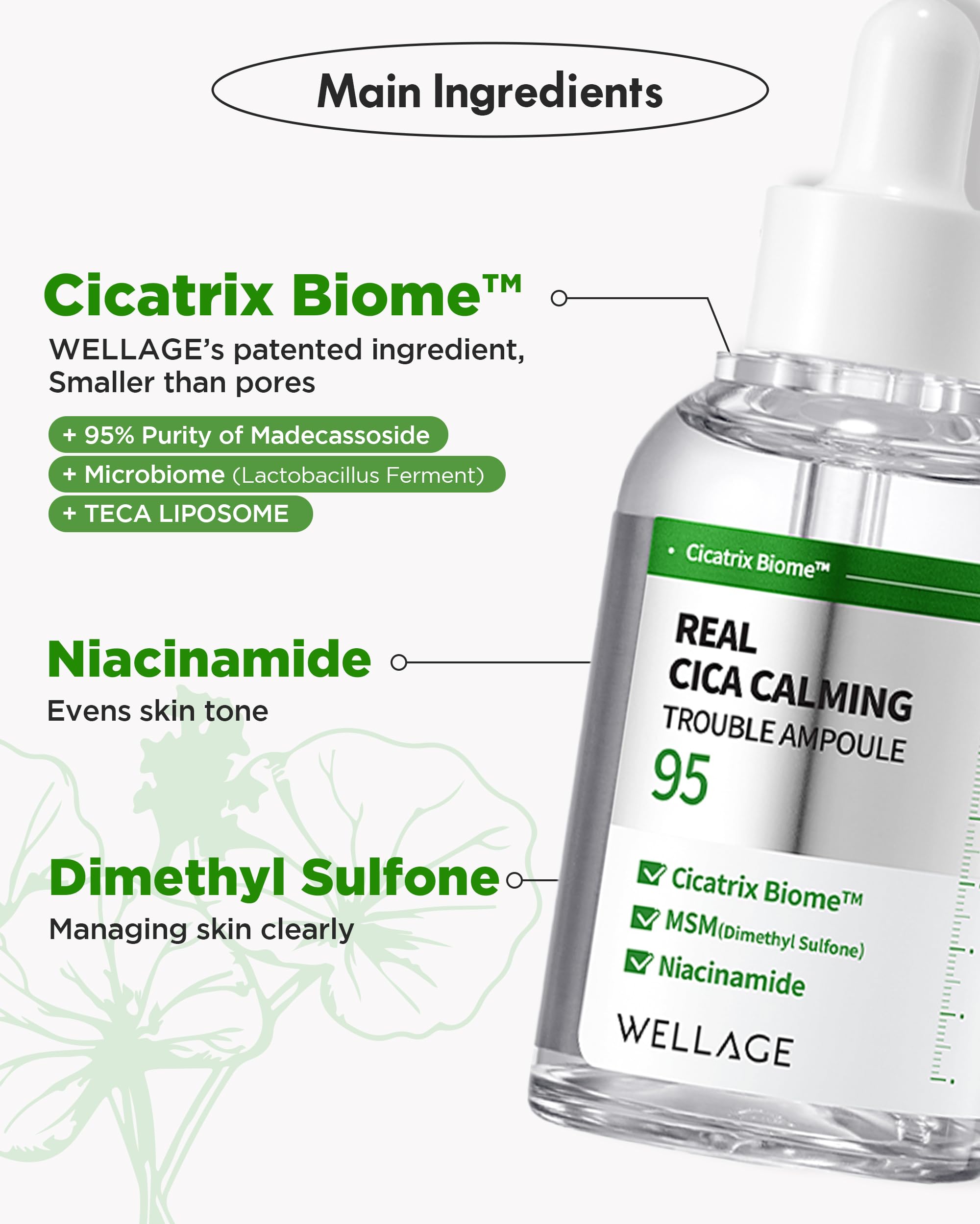 Wellage Real Cica Calming Ampoule focuses on blemish reduction for clearer appearance.