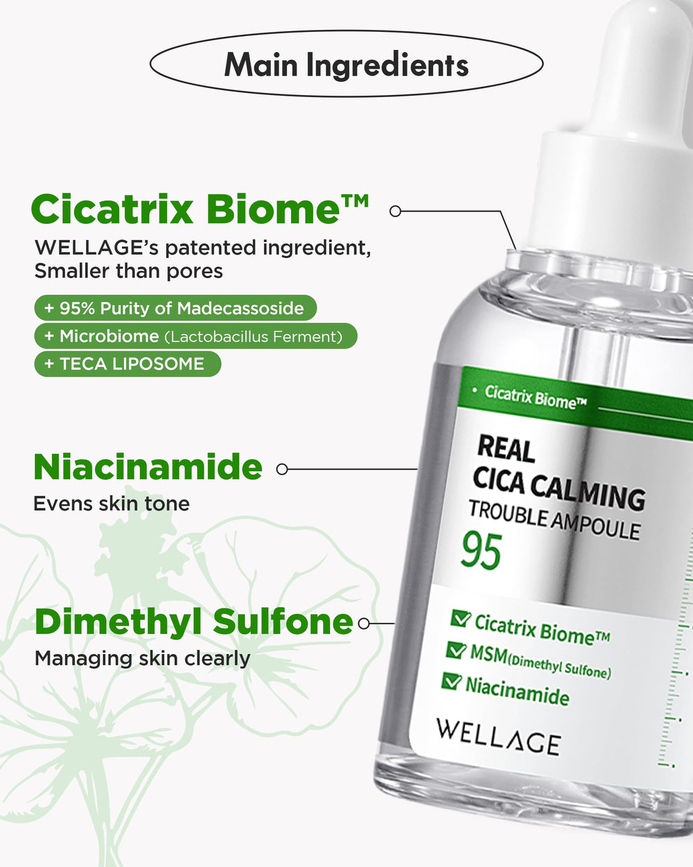 Wellage Real Cica Calming Ampoule focuses on blemish reduction for clearer appearance.
