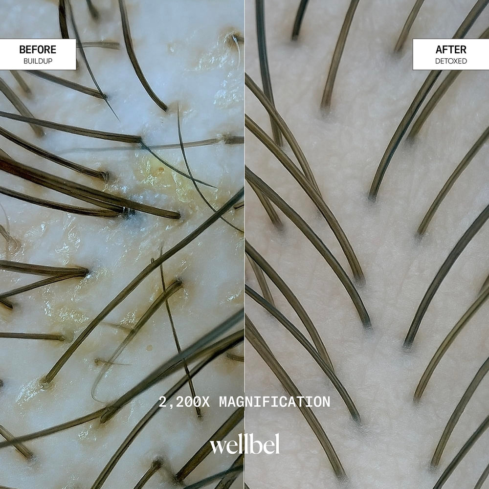 WELLBEL Detox + Restore signature scent visual hints at bergamot and sandalwood