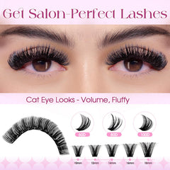 Wendy Lashes 60D clusters for natural flutter and easy volume