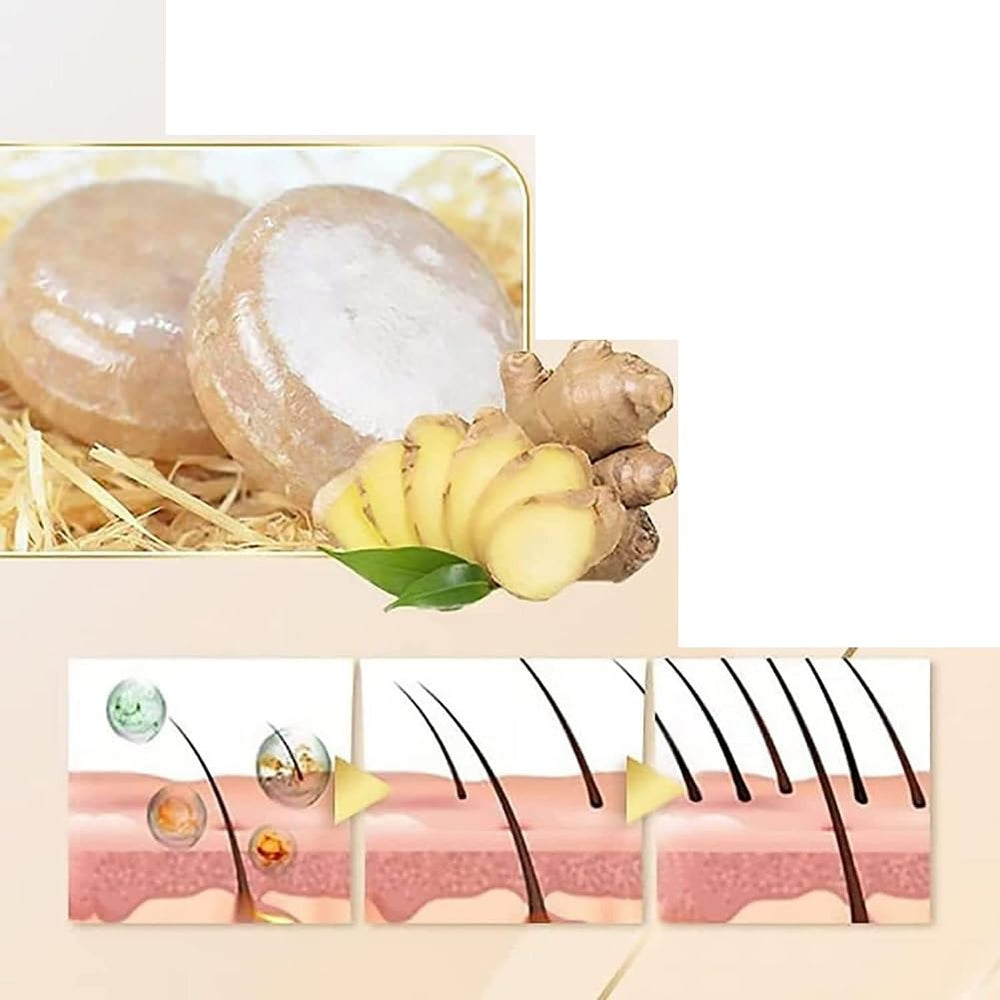 WenFeng organic ginger extracts visual emphasizes plant-based formula for healthier hair.