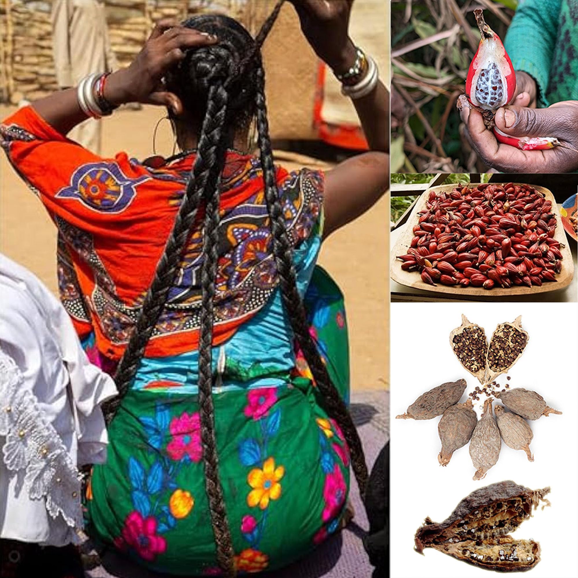 West African Scalp Awaken Oil ingredients, highlights castor, rosemary and oils for nourishment.