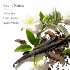 Westin White Tea Aloe scent diffusion evokes spa calm.