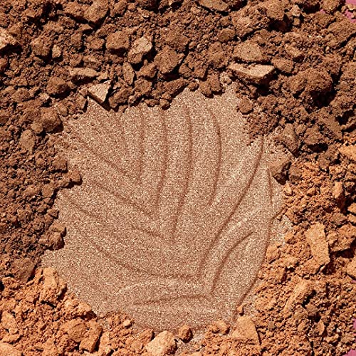 wet n wild Color Icon Bronzer Ticket to Brazil pearlescent glow effect