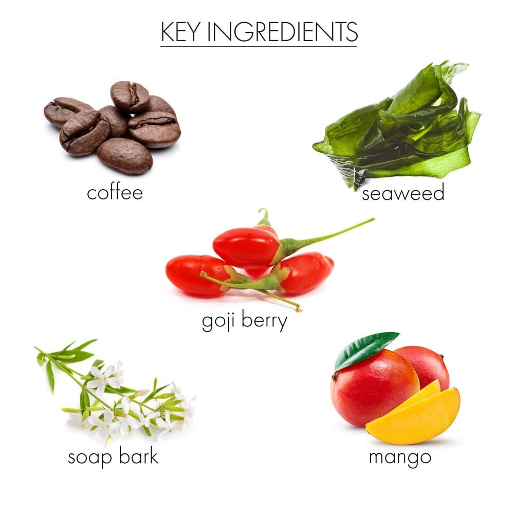 Coconut scent of Whish self tanner during application enhances scent experience.